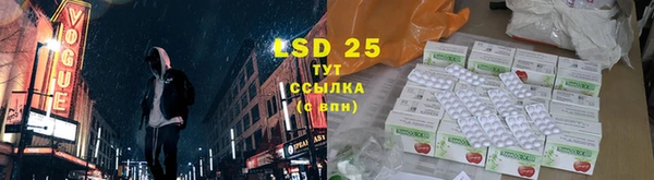 ГАЛЛЮЦИНОГЕННЫЕ ГРИБЫ Пролетарск
