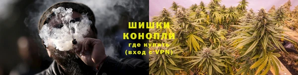 сатива Приозерск
